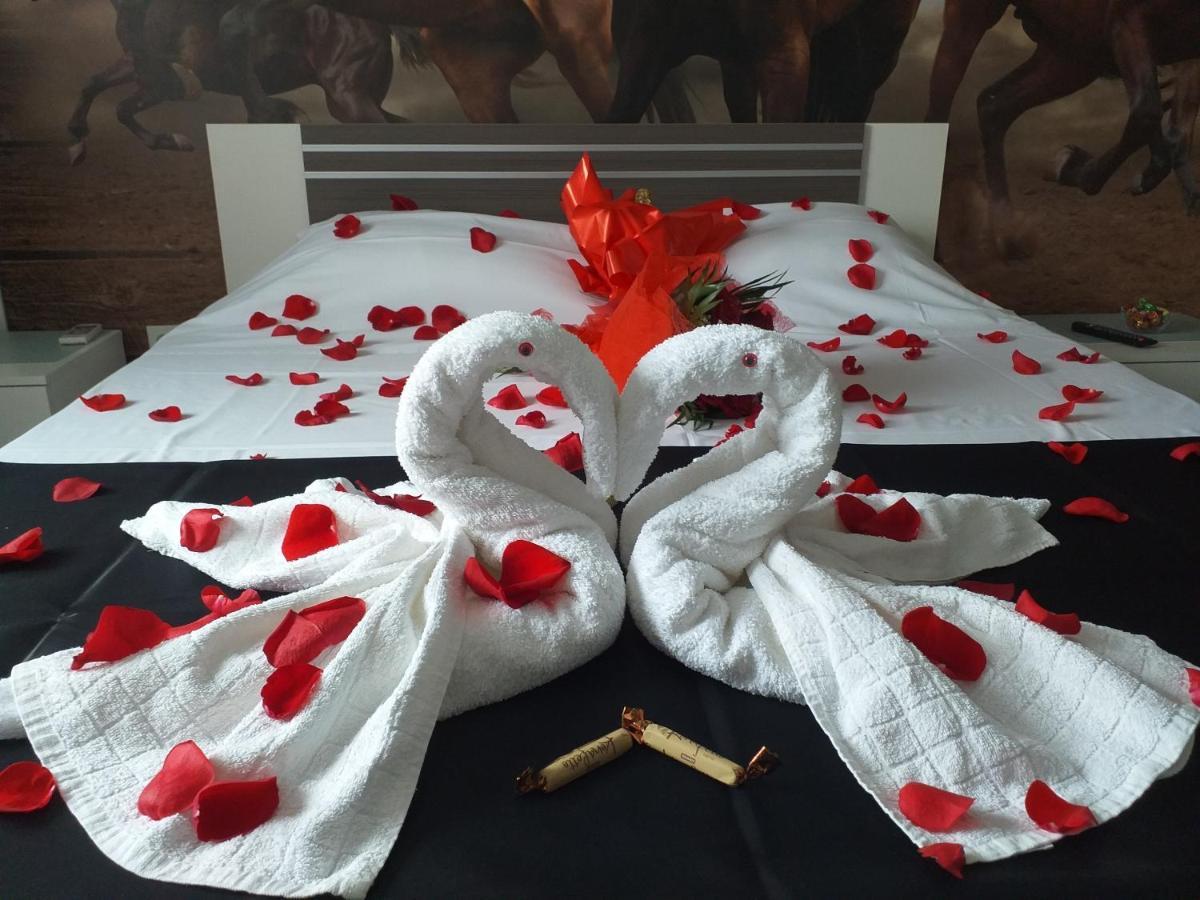 Hotel Hobby 胡内多阿拉 外观 照片